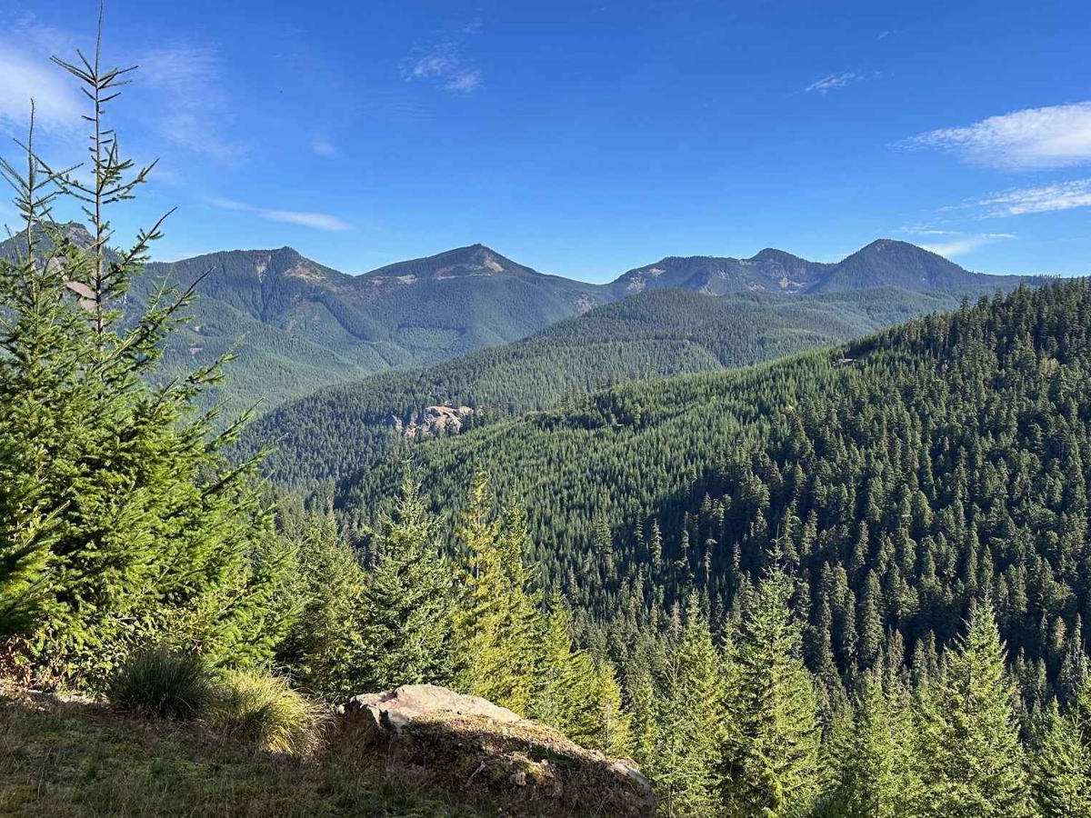 George Creek trail photo