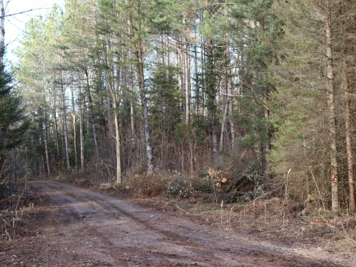 FR 2408B photo 4