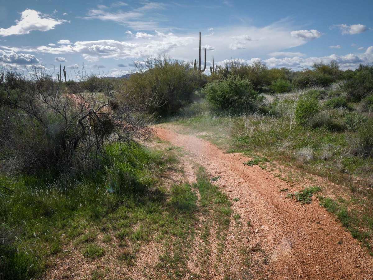 Camp Creek Access ATV Trail photo 6