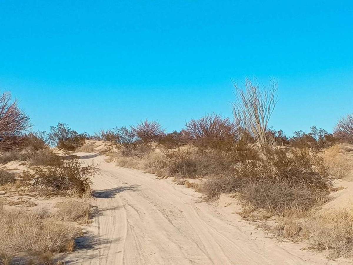Sea of Cortez Overlook photo 5