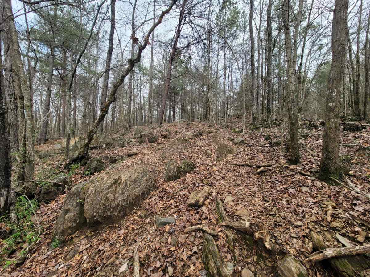 Hornets Nest Bypass photo 5
