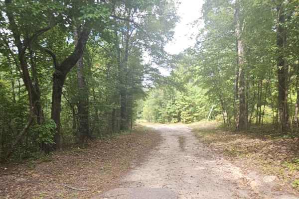 Mayson Crossroads Bypass - FS 585/585C