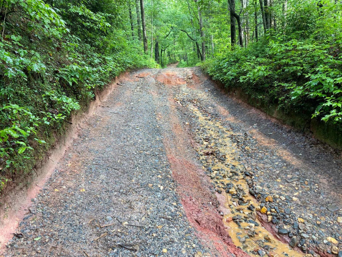 Jones Creek Road - FS 77A photo 2