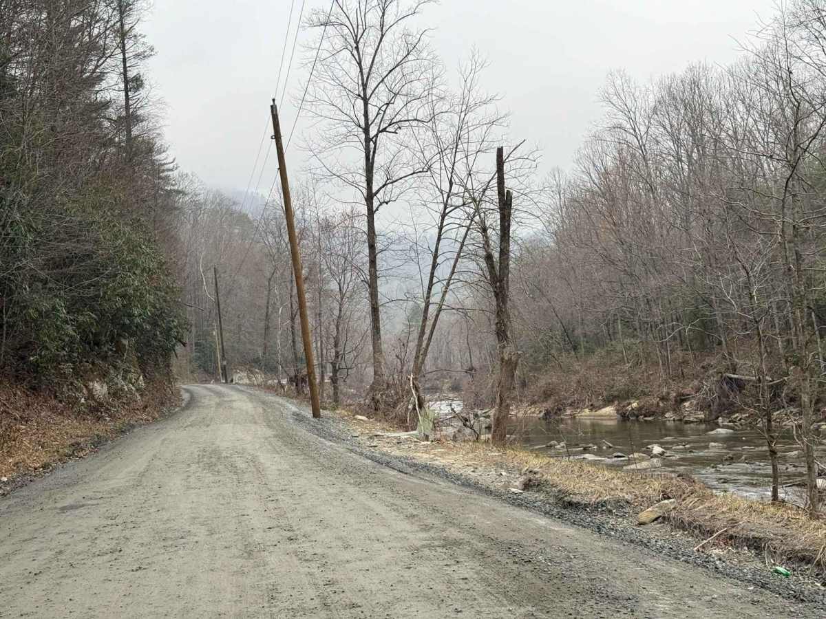 Brown Mountain Beech Road trail photo
