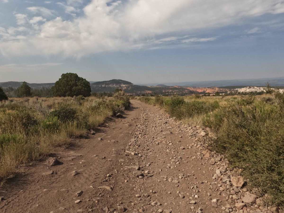 Casto Bowl - BLM 30116 photo 5