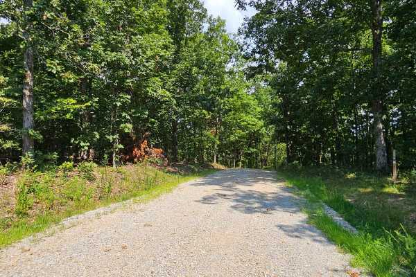 Camp Roy - FSR 3208
