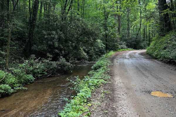 Cooper's Gap