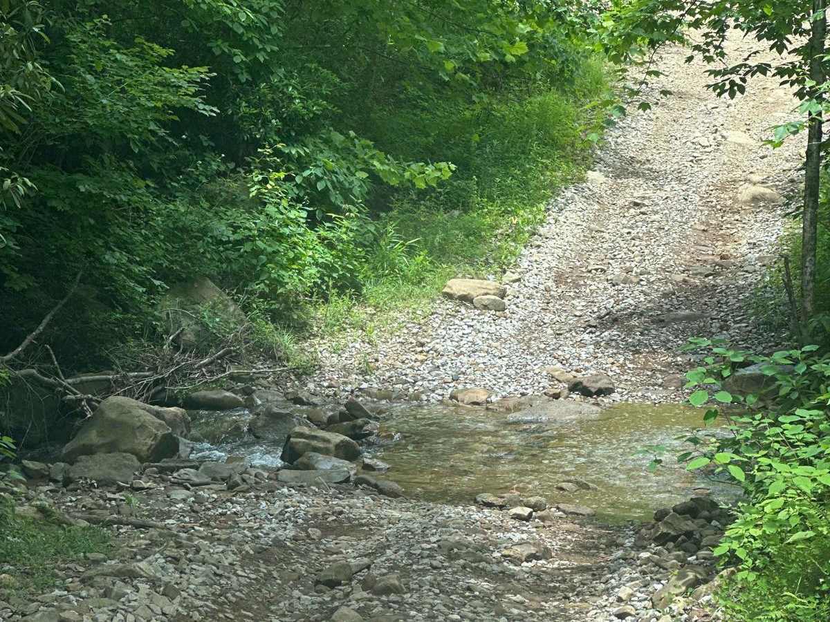 Sandlick Trail photo 5