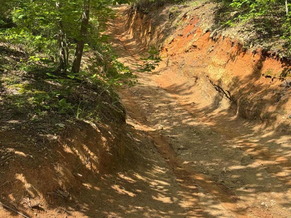 B&B Hill trail photo