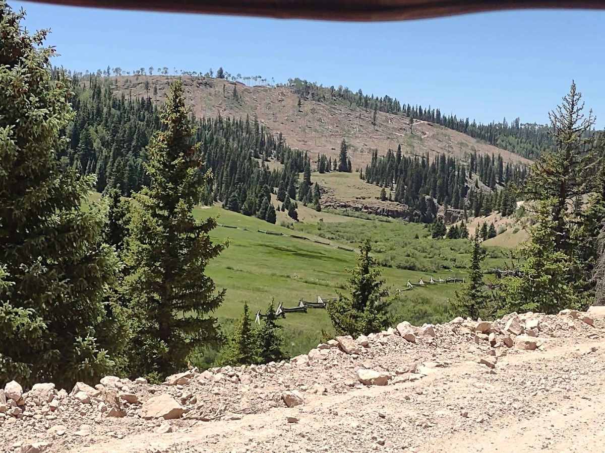 Buck Ridge Cut-Across (FS 4058/Paiute D-3/1A) trail photo