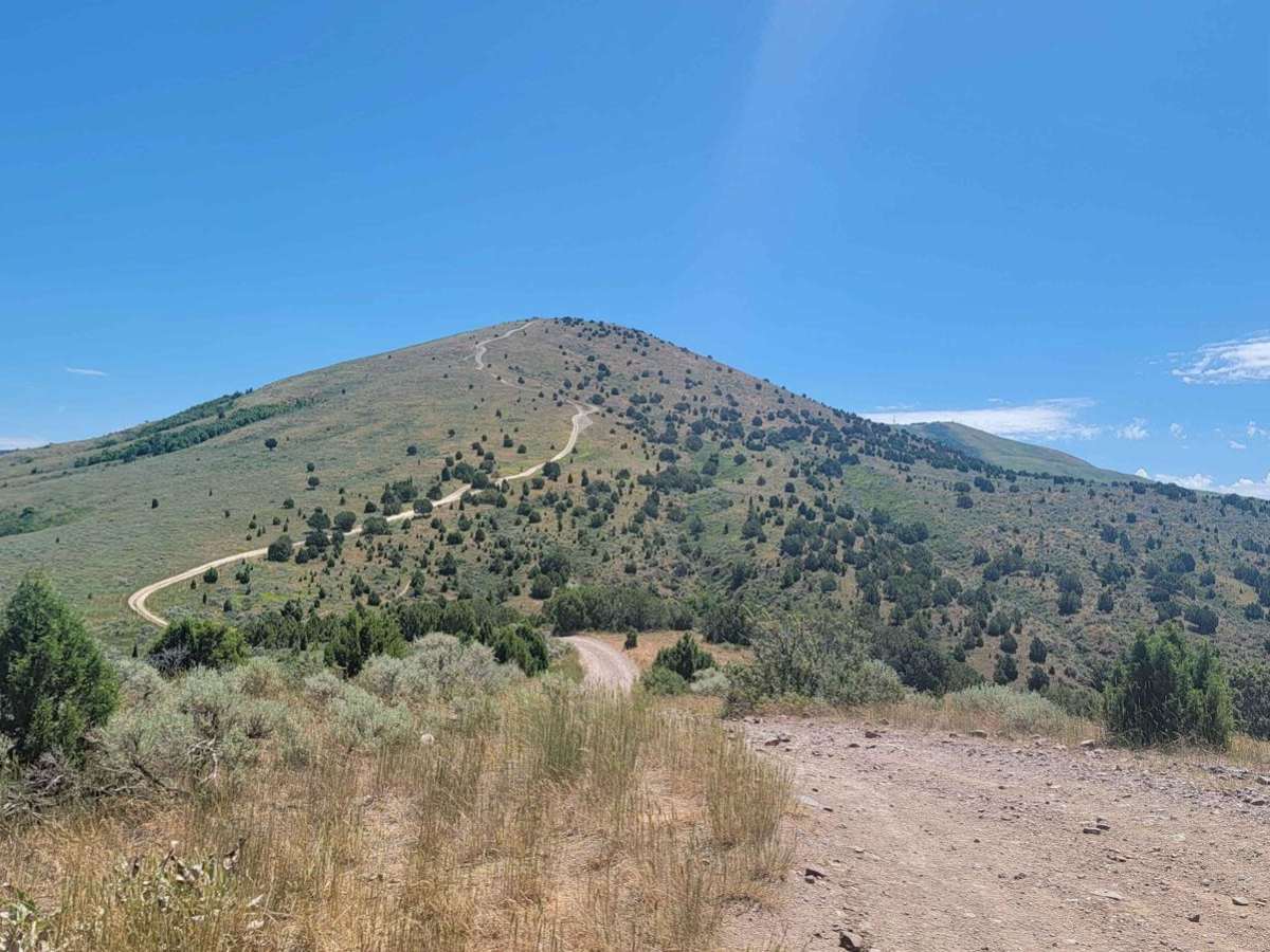 Route 352 to Chinese Peak trail photo
