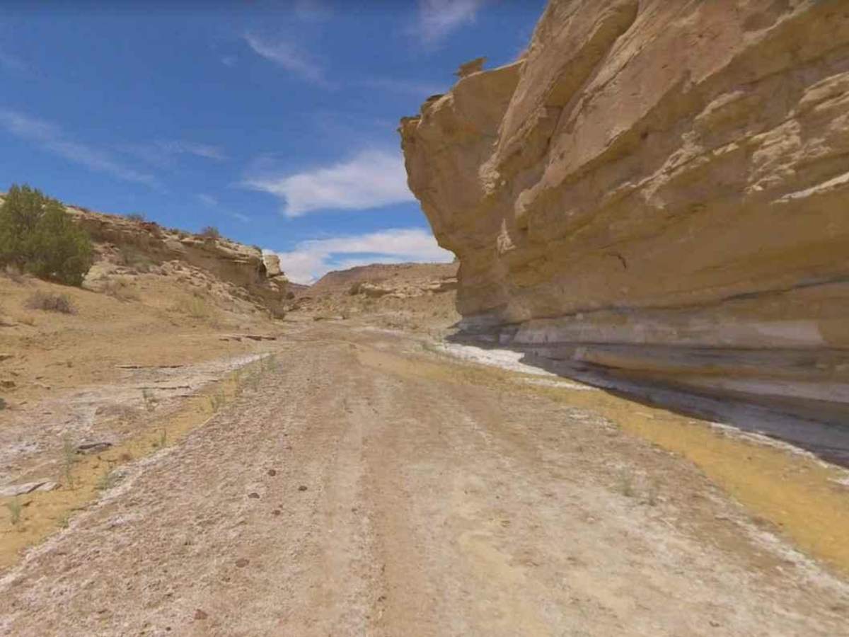 Brigham Plains Road-BLM430 trail photo