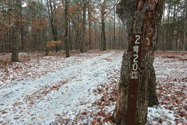 Lost Meridian - FS 2420