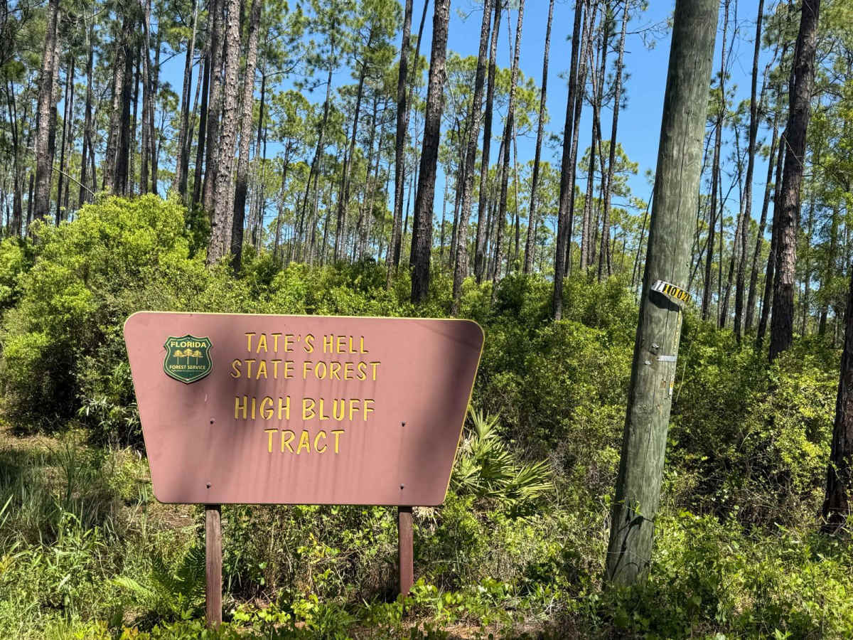 Road Camp Road trail photo
