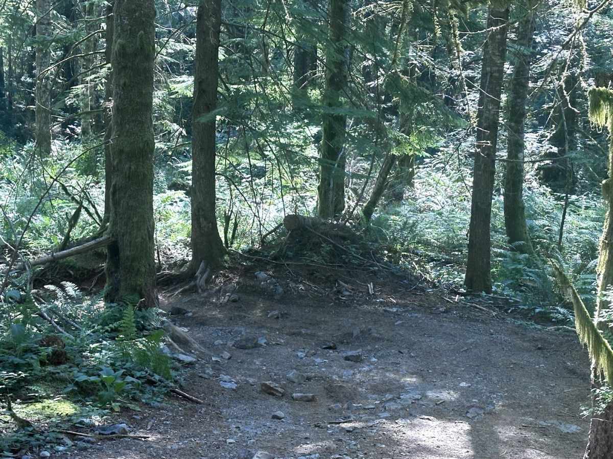 Lovers Lane photo 5