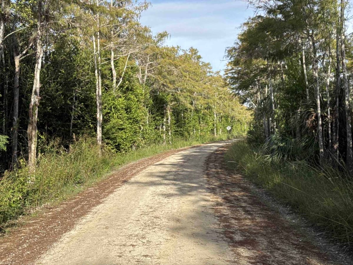 Loop Road - CR 94 photo 2