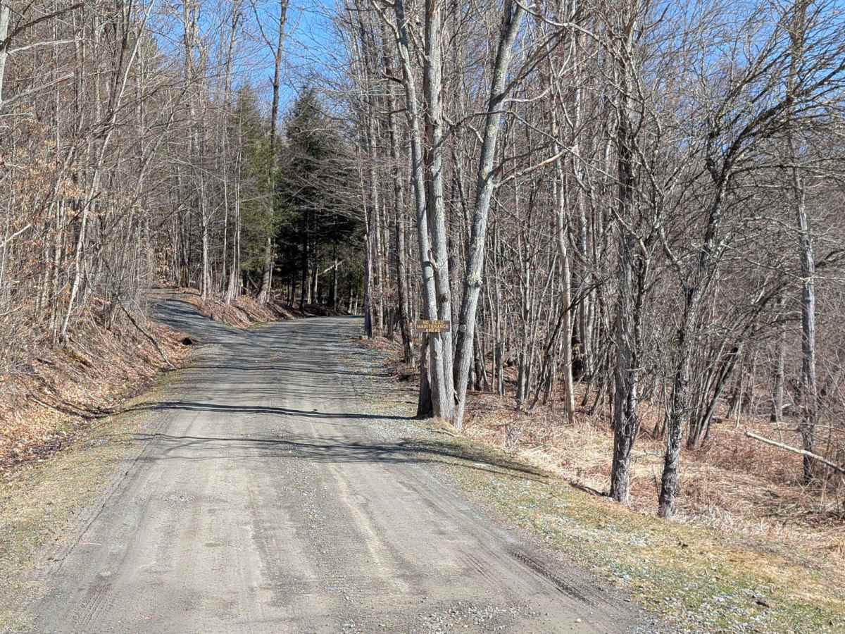 Salt Springs Road photo 4