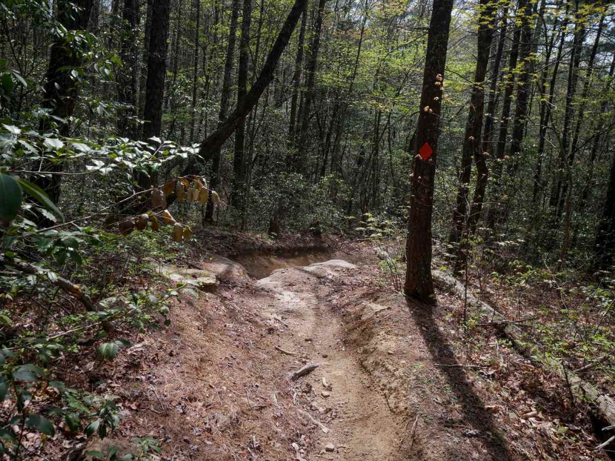 Trail 5 Ned's Knob photo 2