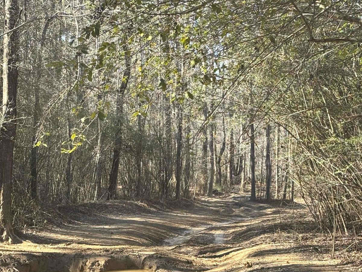 48 trail photo