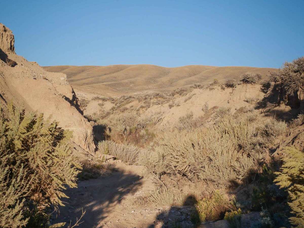 Ditch Loop photo 2