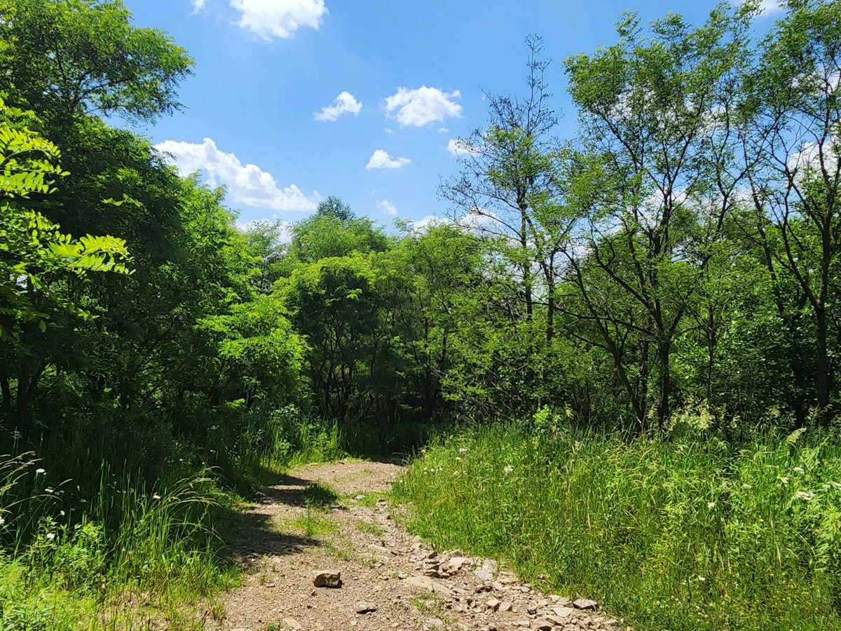 Trail 8D - Rock Run Recreation Area photo 5
