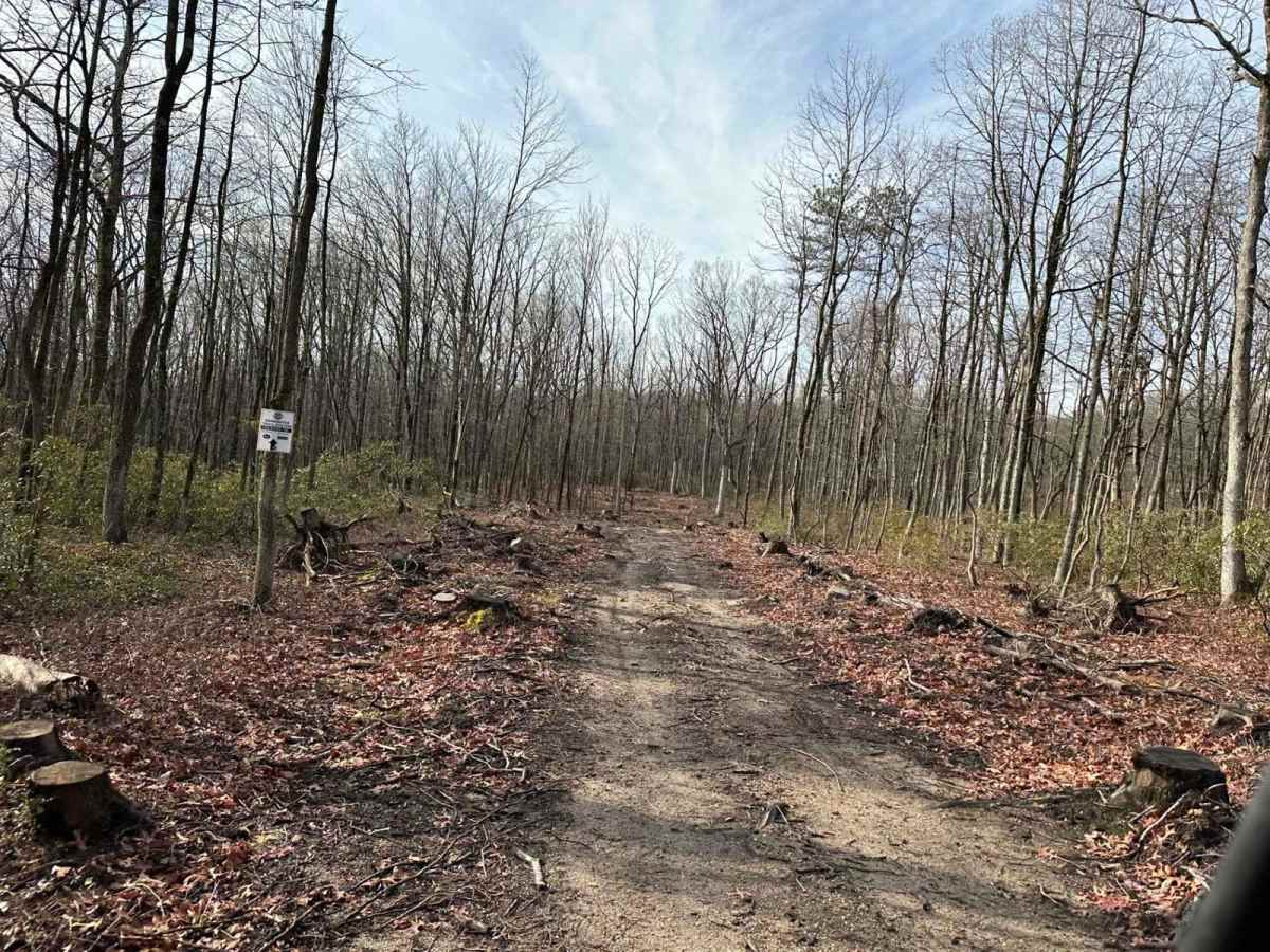 Darkwater 90 trail photo