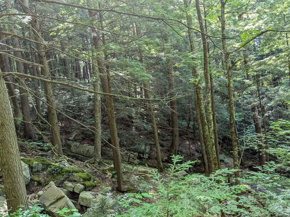 Old Rootville Road photo 2