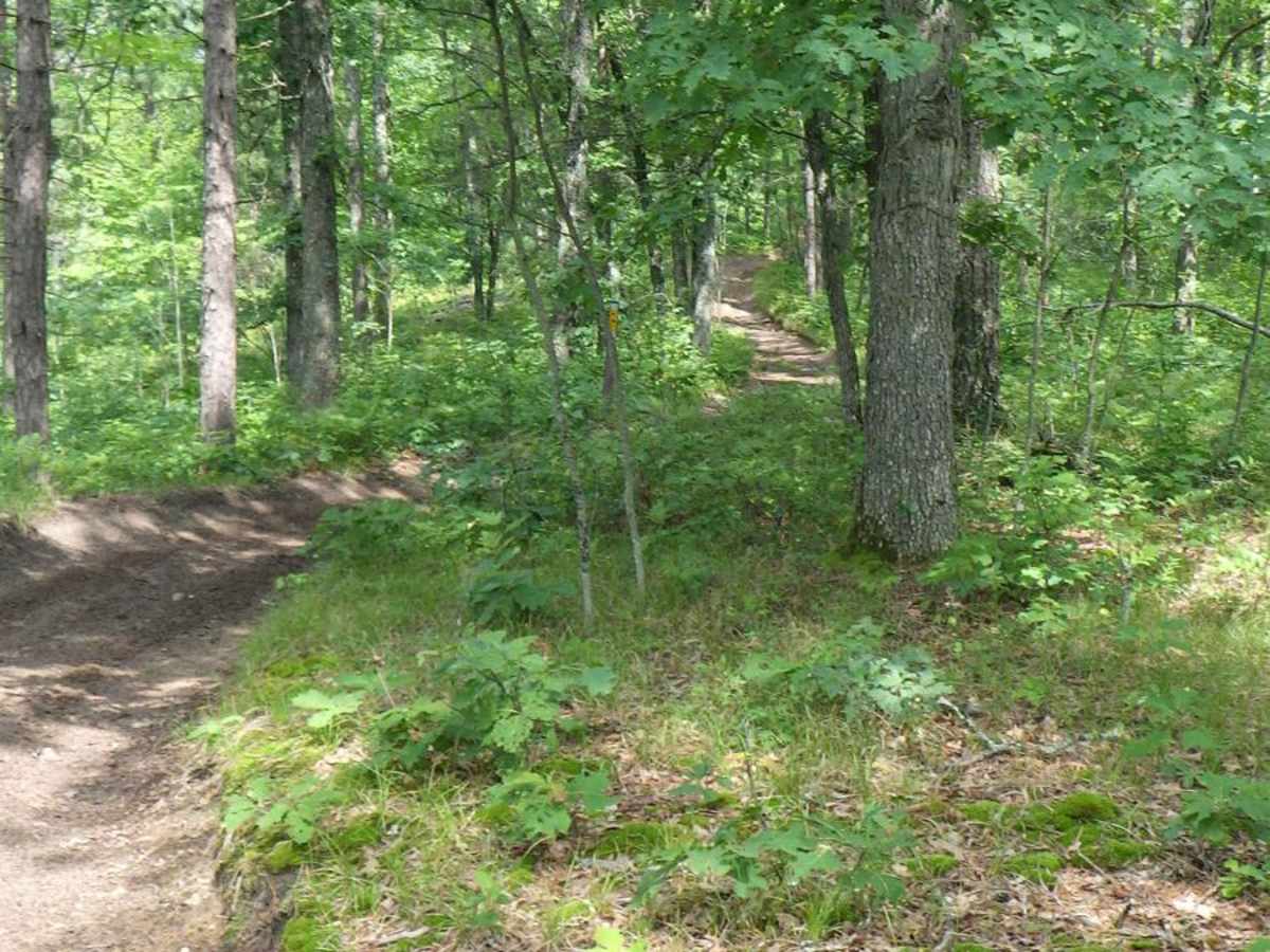 Fredrick ORV West photo 5
