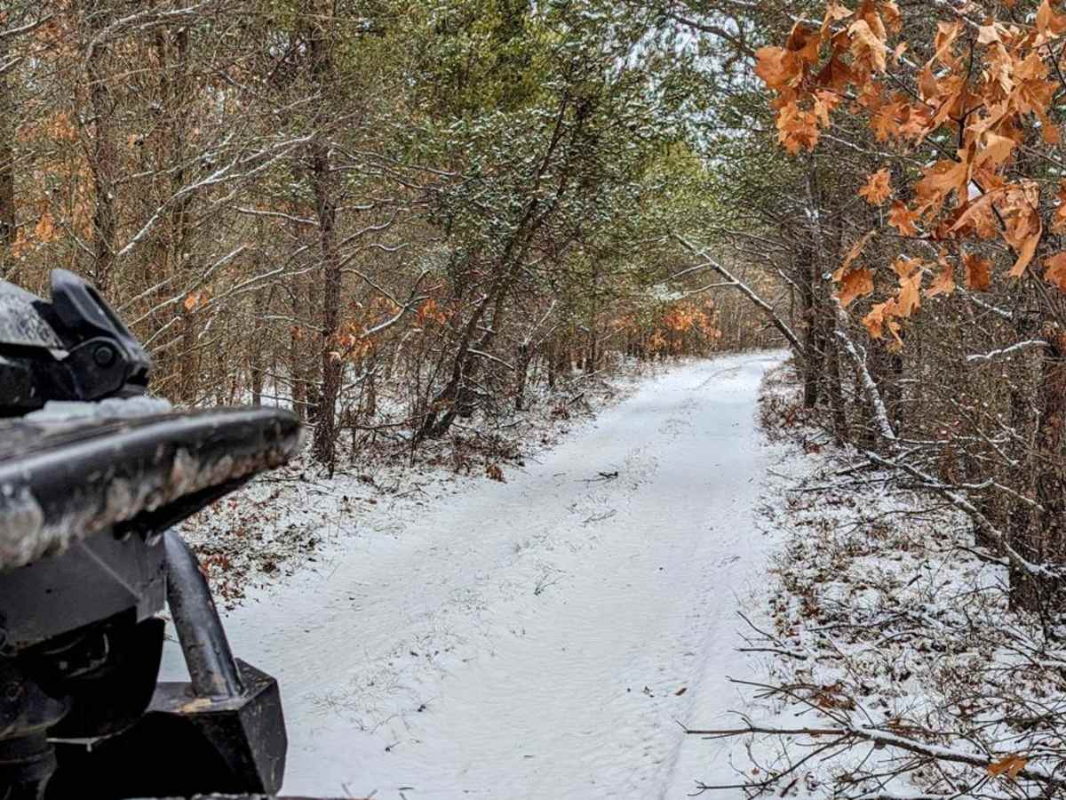 Cuttin Lake Road photo 5