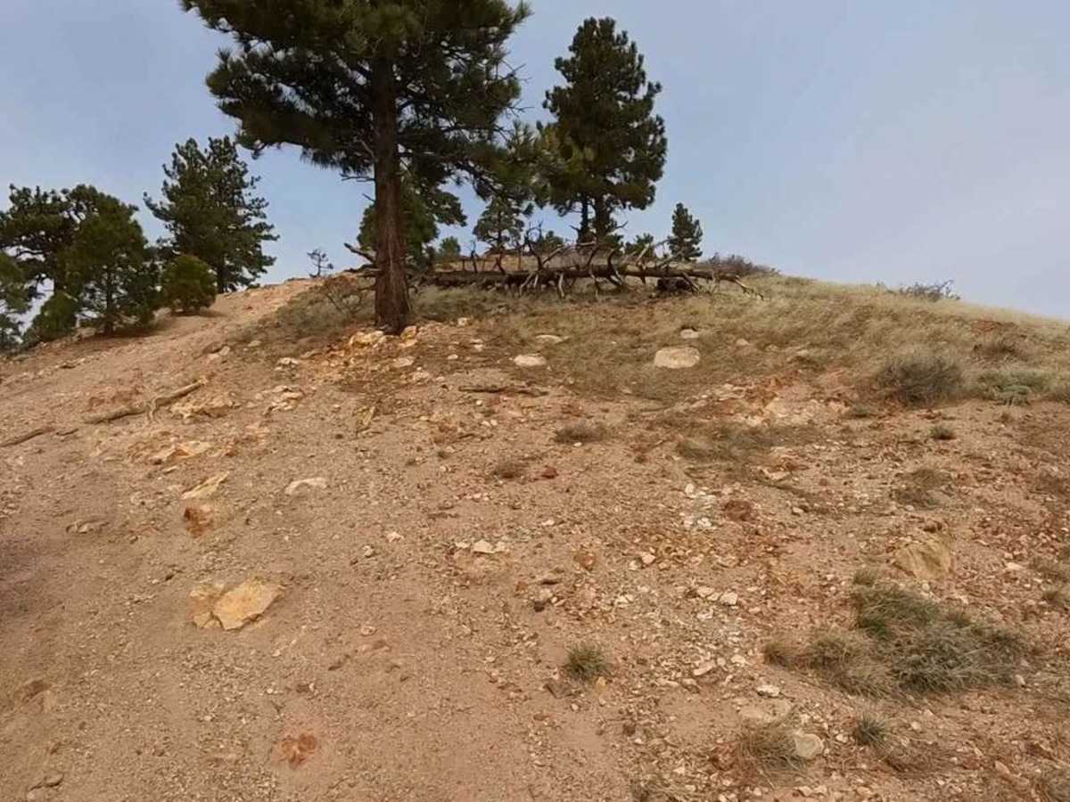 Headliner Trail photo 2