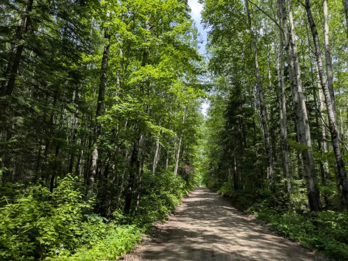 West Spider Lake Drive photo 2