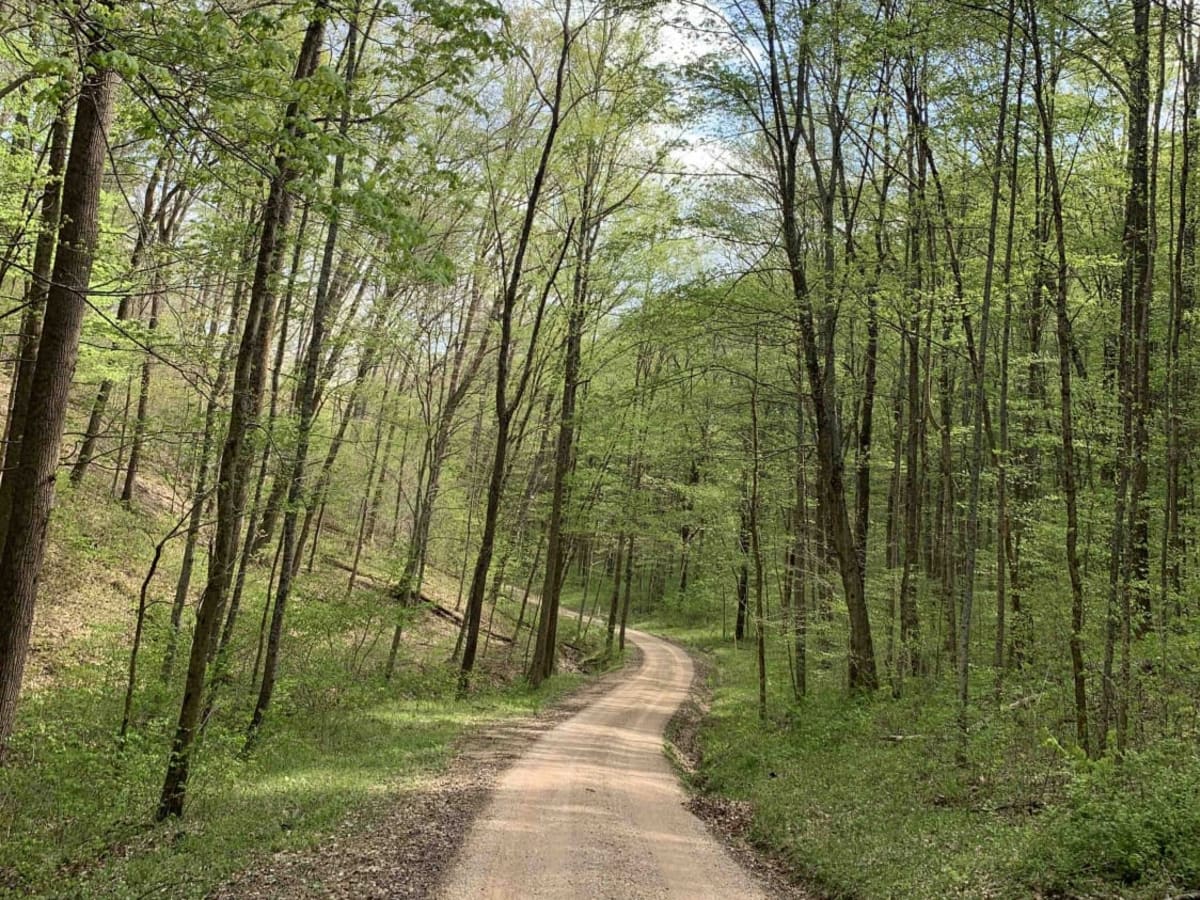 Park Road 39 trail photo