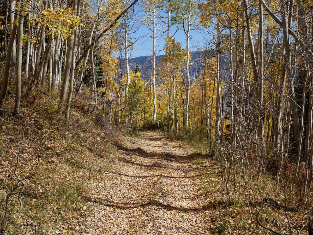 Fox Creek ATV trail photo