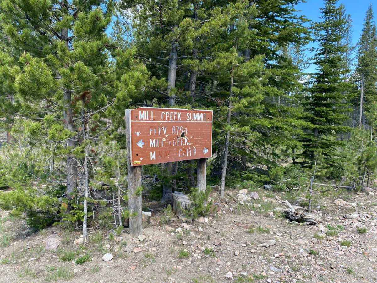 Custer Motorway (aka Yankee Fork Road) photo 5