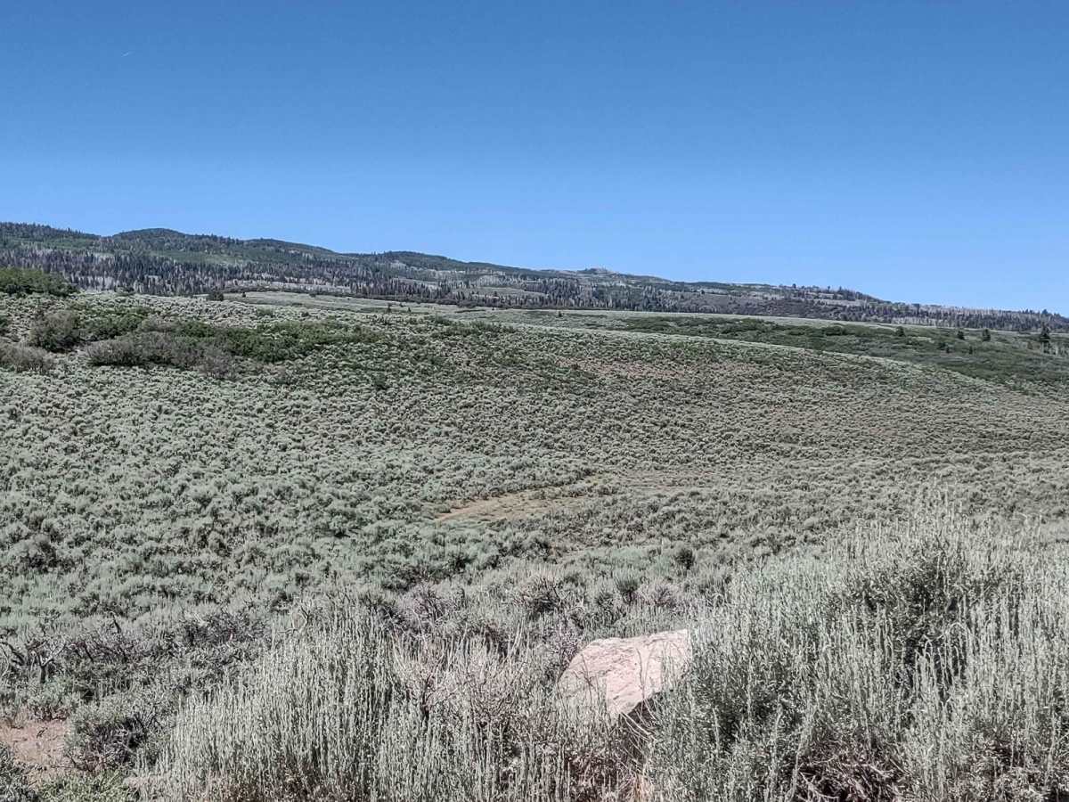 Glenwood Access to Fishlake Natl Forest - FS 40068 trail photo