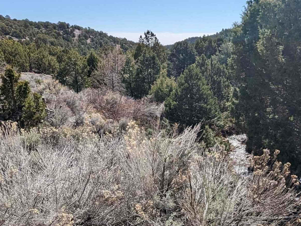 Willow Creek Road East trail photo