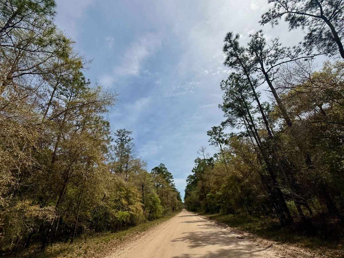 Whitehead Lake Road 186-C photo 6