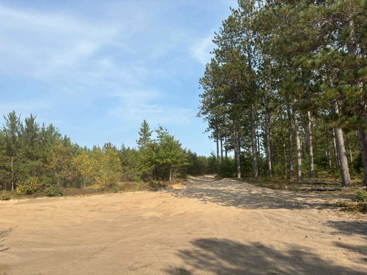 Jack's Trail photo 4