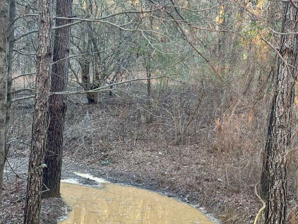 Spur Road photo 2