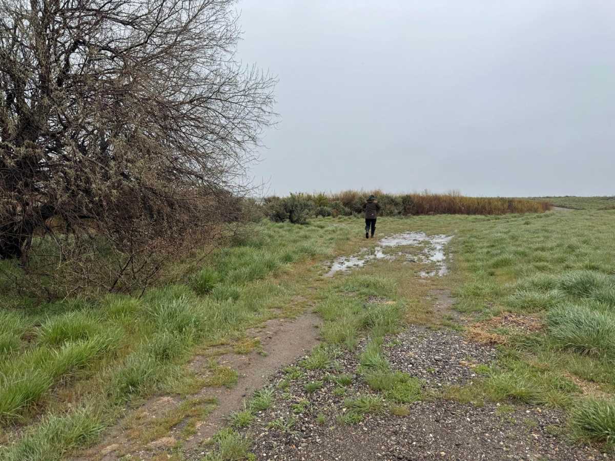 Lake View photo 2