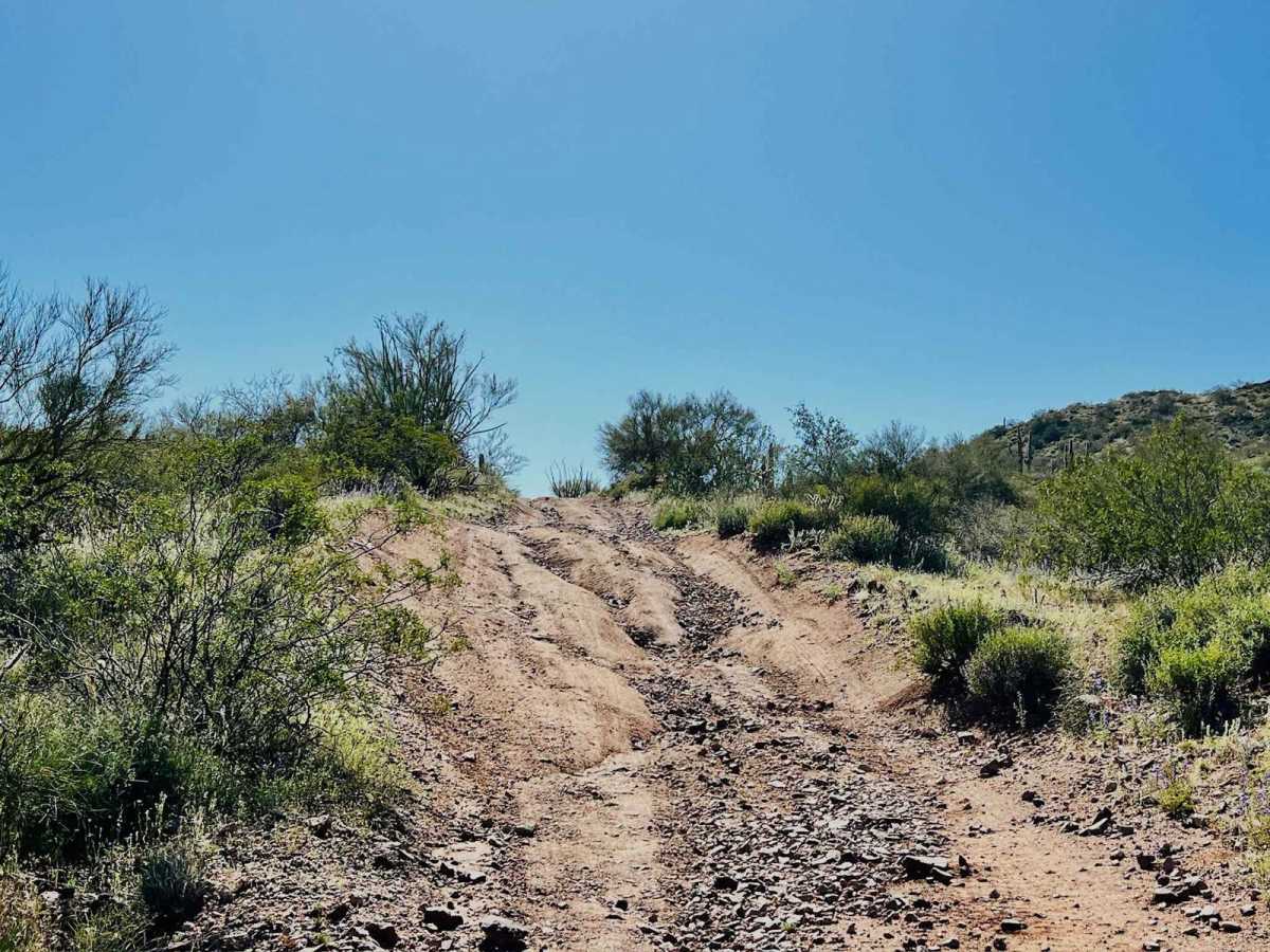 Better Way Out O'Haco photo 3