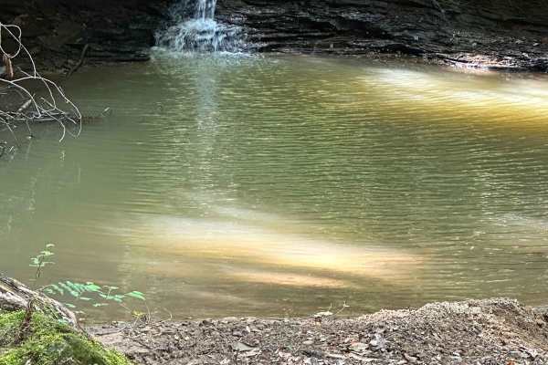 Water Holler