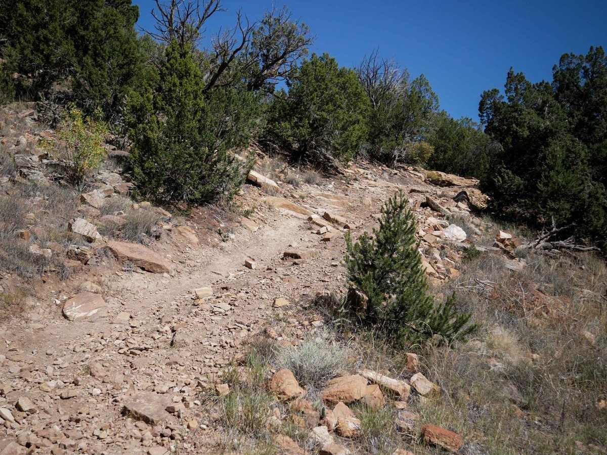 6101B trail photo