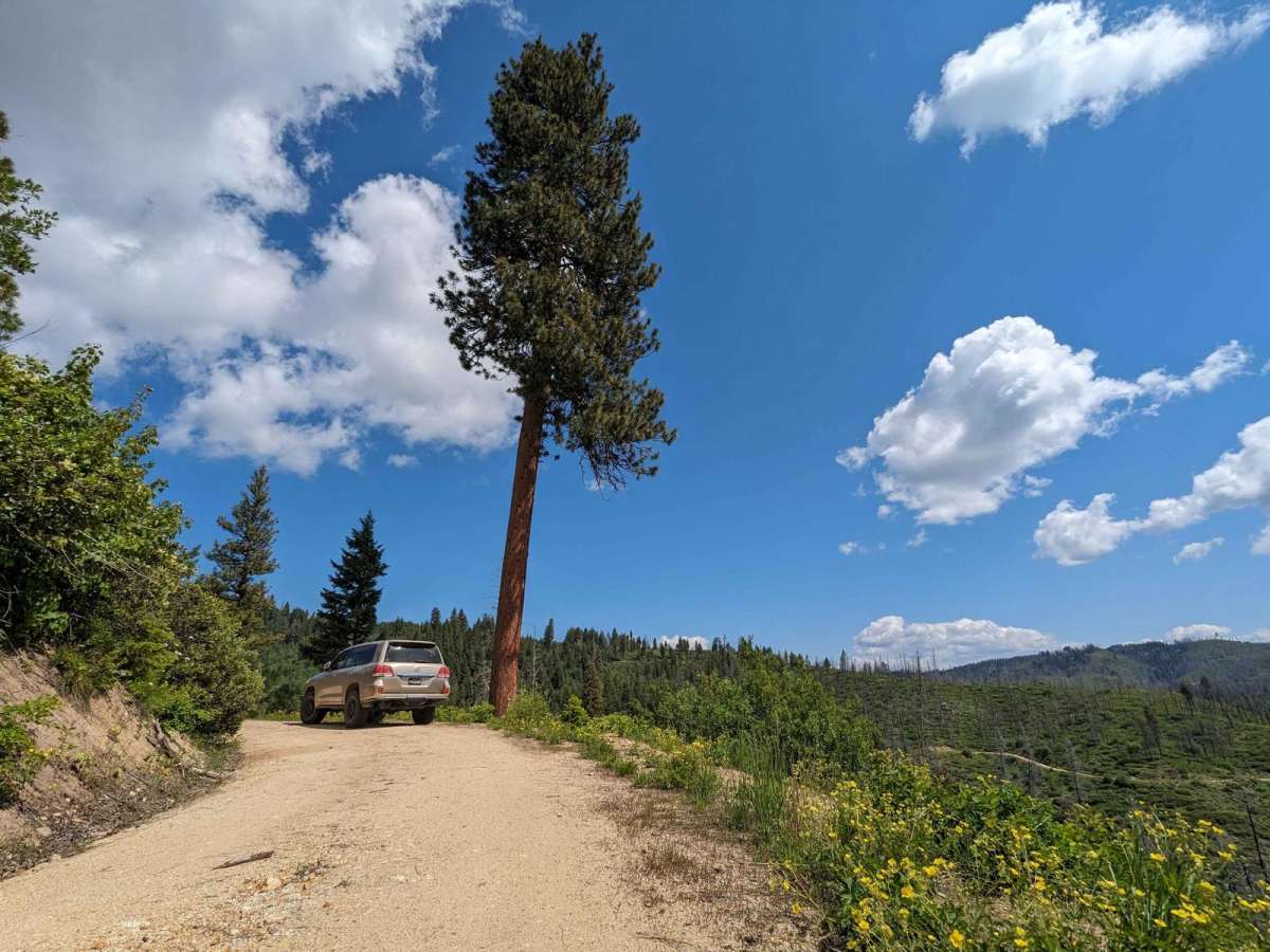 Gold Fork Loop 393 (China Fork West Fork) trail photo