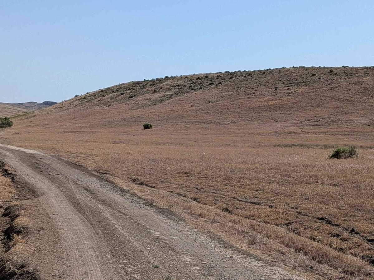 Camp Kettle Creek Road Trail photo 6