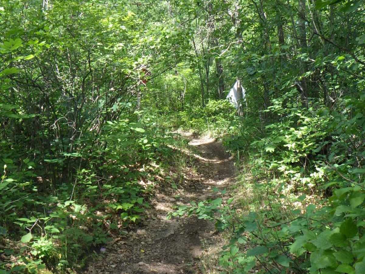 Hunt Creek West - MCCCT photo 2