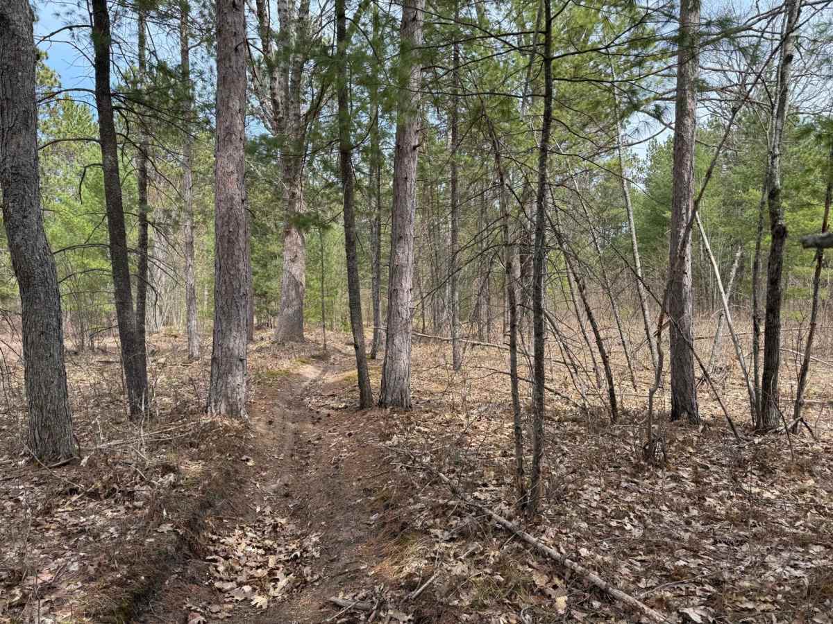 Grand Traverse East Connector photo 3