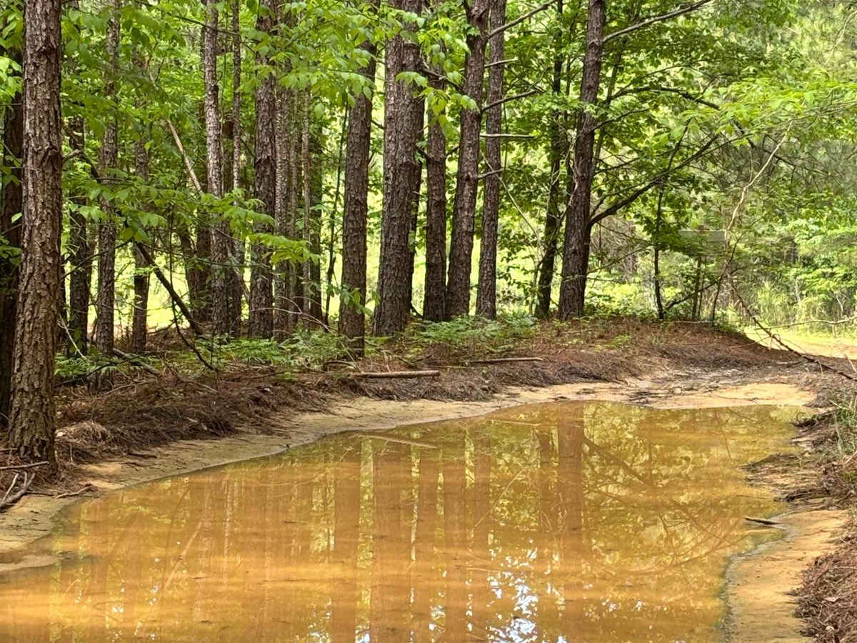 417 trail photo
