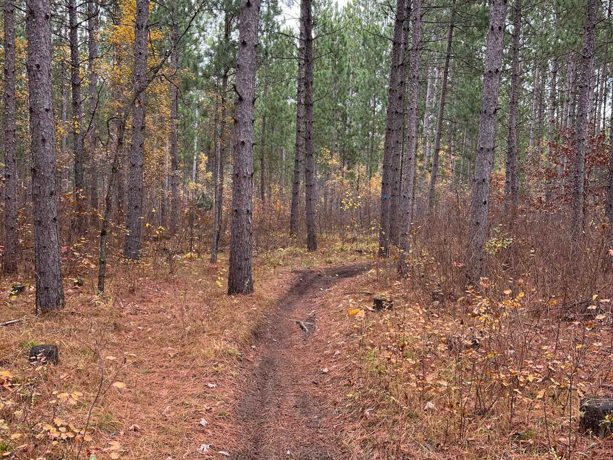 NE Huntersville Winding Woods photo 3