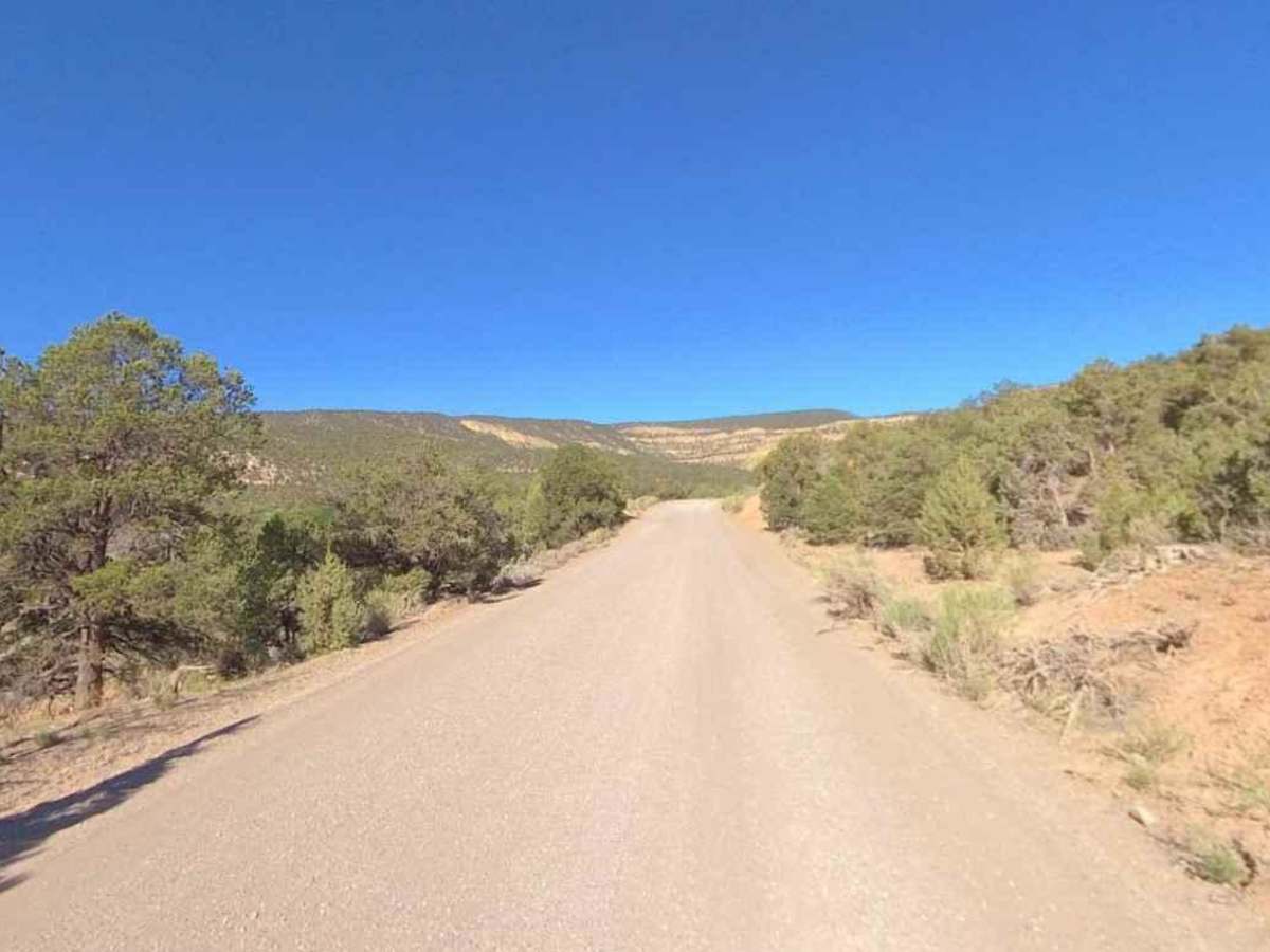 Pine Creek Road FS 30153 photo 5